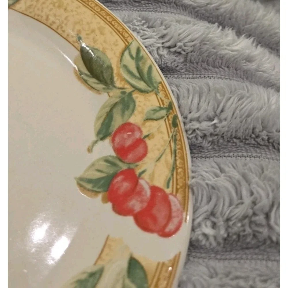 Gibson Everyday Fruita Stoneware Salad Dessert Plate 7